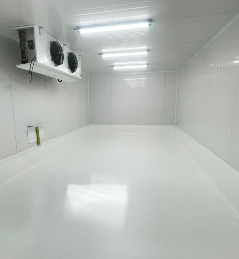 Proyectos